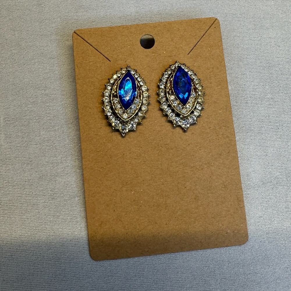 Blue Rhinestone Pierced Earrings